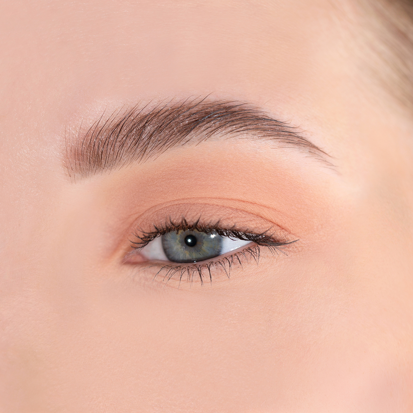 тон 101 () Тени для ВЕК ЖИДКИЕ "Matt tint waterproof 12H" LUXVISAGE/5-img-2