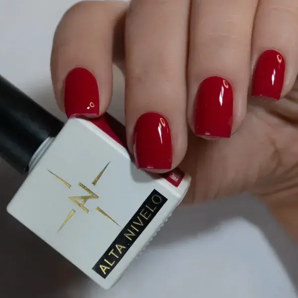 Alta Nivelo Гель-лак BURGUNDY №187-img-0