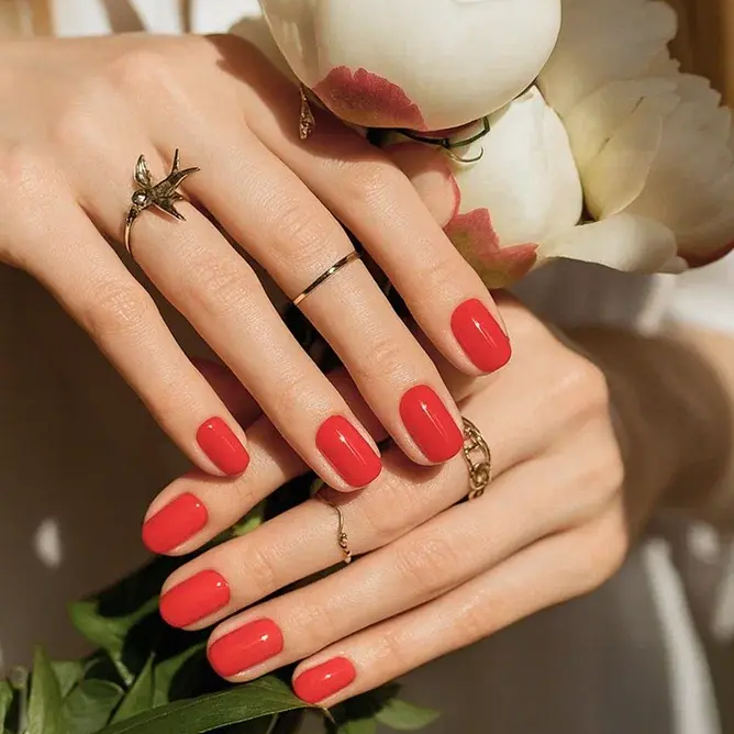 Foxy Гель-лак (Gel polish) #017, 8 ml-img-3